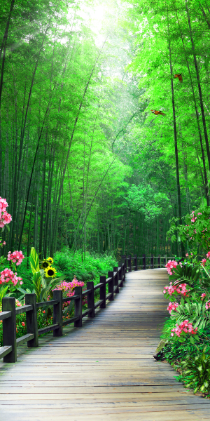 背景墙-中式风 玄关，隔断，移门，电视背景墙，高清图，高清平开门，LYF-371，山水画，花草，3D立体图，山间小路，竹林，竹子